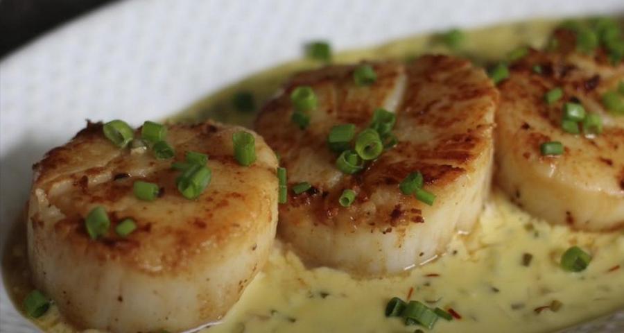 Seared Scallops with Saffron Sauce