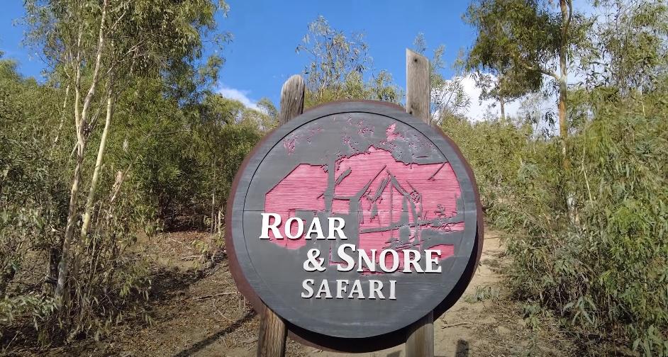 Roar & Snore Safari signange
